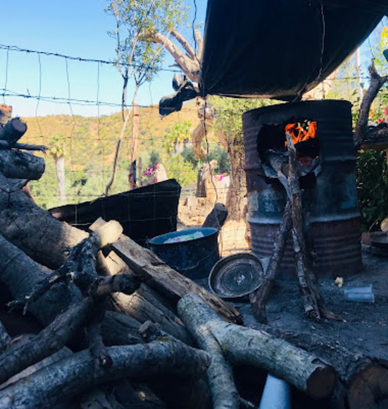 Meet your Posher, Claudia - Picture 1 of 1